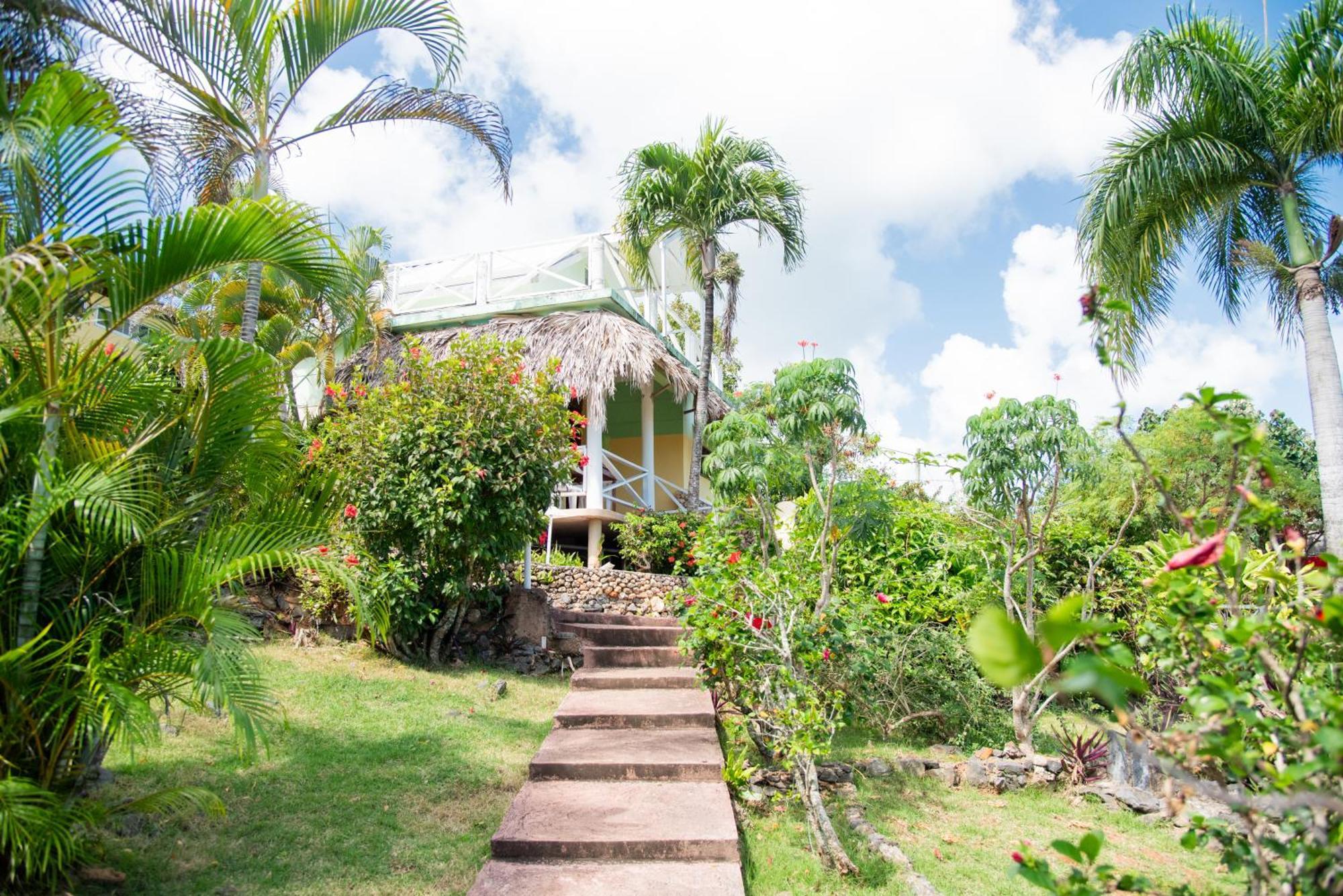 Las Mariposas Las Galeras Esterno foto
