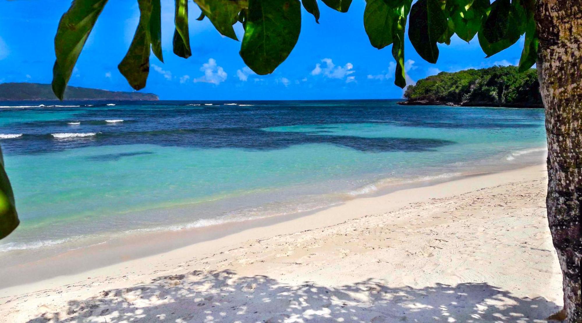 Las Mariposas Las Galeras Esterno foto